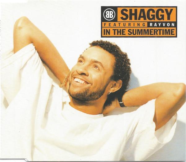 Shaggy, Rayvon - In The Summertime