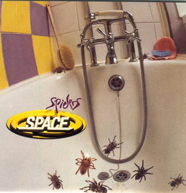 Space  - Spiders