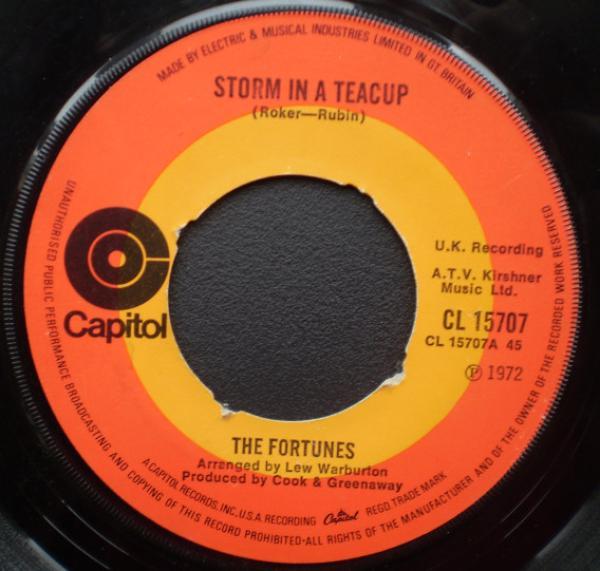 The Fortunes - Storm In A Teacup